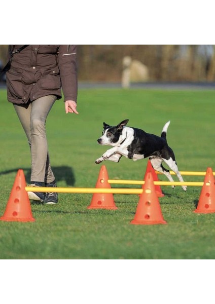 Köpek Agility Oyuncağı 3 Adet 23X30X78 cm