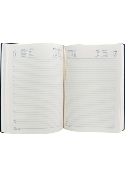 Tekno Trust 2025 Cumartesi ve Pazar Günleri Tam Sayfa 17X24 cm Ajanda Taba fiyatları