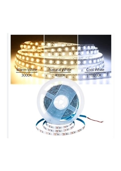 12 Volt 5 mm 2835 Smd 6500 K Beyaz Iç Mekan 120 Ledli 5 Metre Şerit LED fiyatları