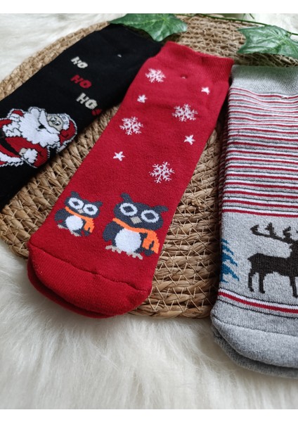 Minilkabebe Yılbaşı Desen Havlu Yarım Soket Çorap 3 Lü 36-40 Numara