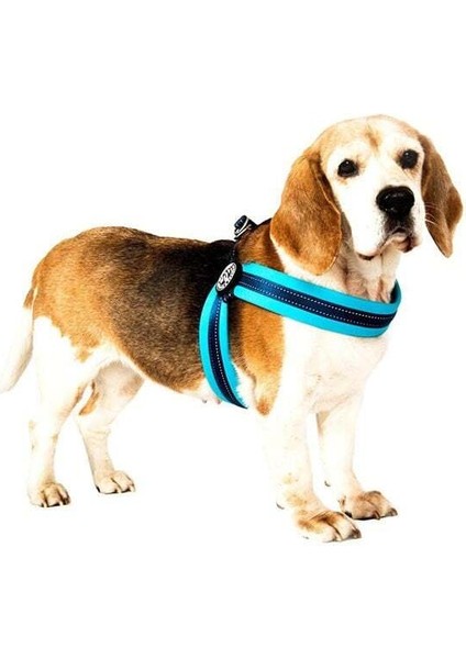 Q-Fit Matrix Köpek Göğüs Tasması Xxsmall Sarı 31-34 cm