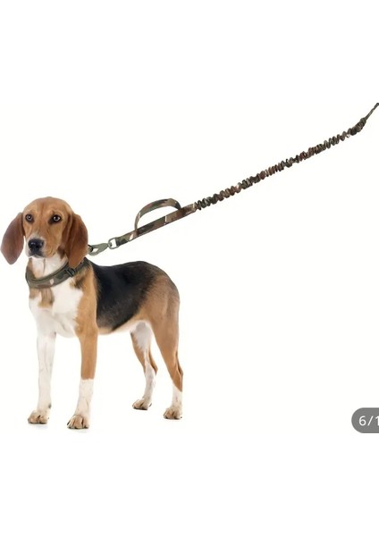 Orta Irk Çok Fonksiyonlu Köpek Gezdirme Tasması.araba Emniyet Kemerli Köpek Gezdirme Tasmasıı modelleri