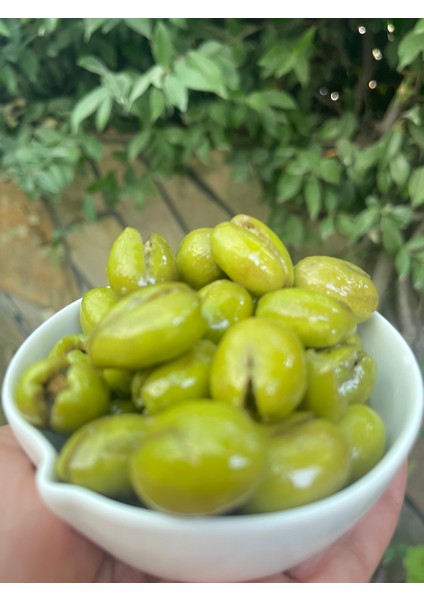 Hatay Akdeniz Sepeti Yeşil Zeytin Kırık - 1 kg