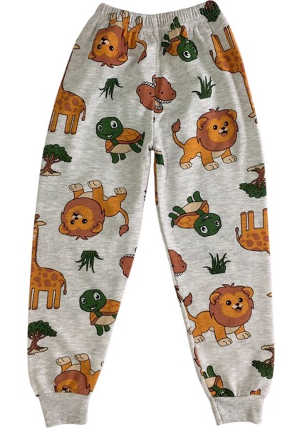 Erkek Çocuk İki İplik Pamuklu Şardonlu Gri Aslan-Dinozor Desen Uzun Kollu Kışlık Pijama Takımı modelleri