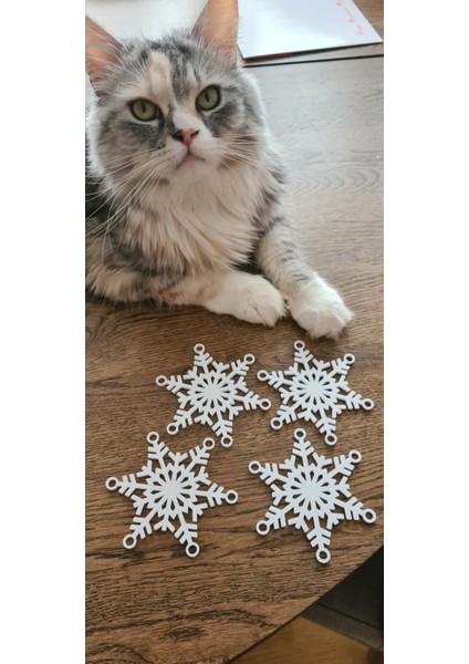 Yeni Noel Süsü - Kar Tanesi T563396 Kampanya