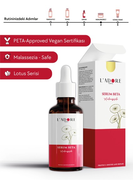 Serum Beta
