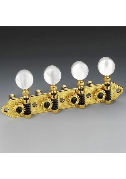 Bağlama Burgu Takımı Schaller Mgo2 Altın 4+4 SC-10440555