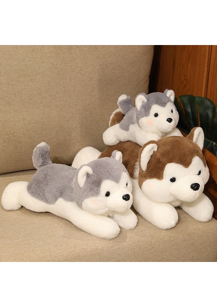 Husky Bebek Köpek Peluş Oyuncak Bebek 40CM (Yurt Dışından)