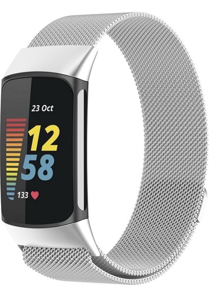 Fitbit Charge 6 Için Milan Manyetik Ste Mesh Kayış (Yurt Dışından)