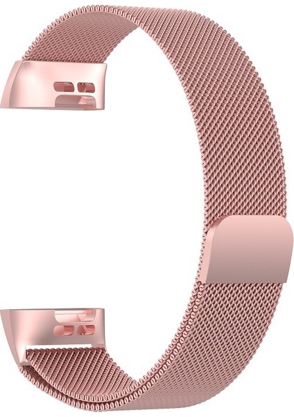 Fıt Şarjı Için Paslanmaz Ste Mıknatıs Kayışı 3,187X18MM (Yurt Dışından)
