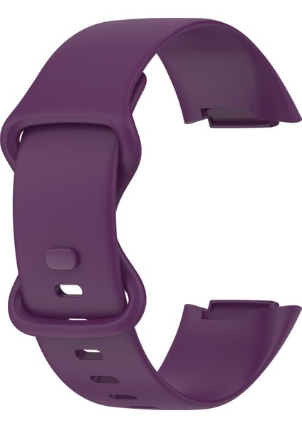 Fit Charge 5 Için Saat Kayışını Değiştirin Boyut: Küçük Boyut (Yurt Dışından)