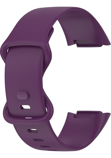 Fit Charge 5 Için Saat Kayışını Değiştirin Boyut: Küçük Boyut (Yurt Dışından)