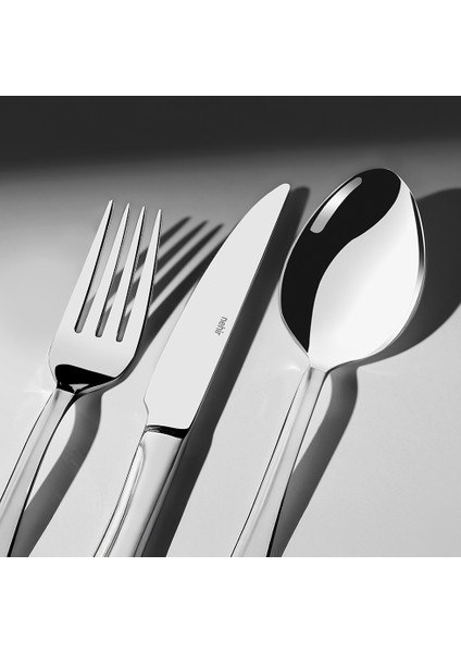 Safir Saten 12 Kişilik 72 Parça Kutulu Çatal Kaşık Bıçak Takımı fiyatları