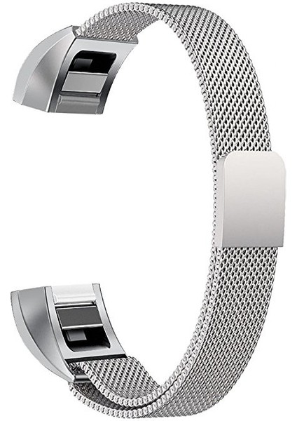Fıt Alta Için Paslanmaz Ste Mıknatıs 170-236MM Saat Kayışı (Yurt Dışından)
