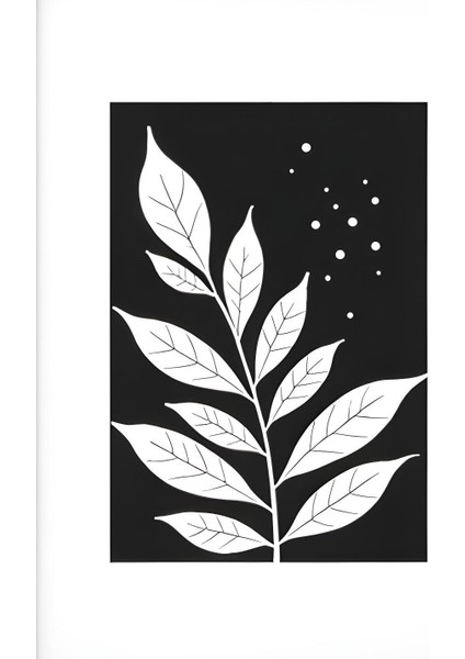 Matisse - Boho - Art Deco - Soyut - Doğa ( 3 Lü Çerçevesiz ) Poster - Afiş - Tablo KR2C01078/