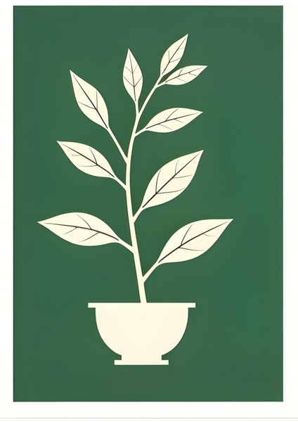 Matisse - Boho - Art Deco - Soyut - Doğa ( 3 Lü Çerçevesiz ) Poster - Afiş - Tablo KR2C01118/ fiyatları
