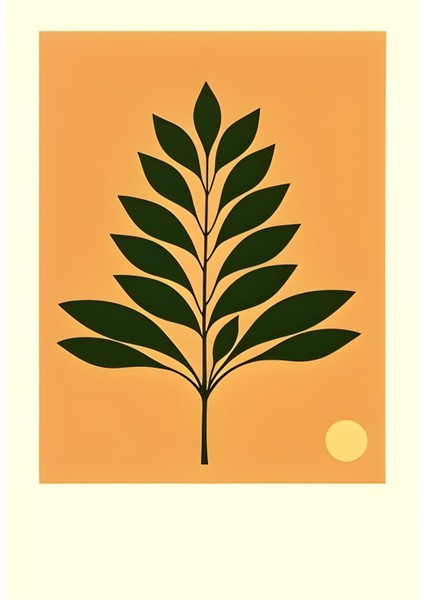 Matisse - Boho - Art Deco - Soyut - Doğa ( 3 Lü Çerçevesiz ) Poster - Afiş - Tablo KR2C01143/