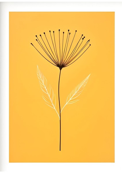 Matisse - Boho - Art Deco - Soyut - Doğa ( 3 Lü Çerçevesiz ) Poster - Afiş - Tablo KR2C01190/ fiyatları