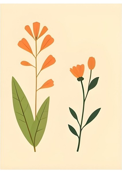 Matisse - Boho - Art Deco - Soyut - Doğa ( 3 Lü Çerçevesiz ) Poster - Afiş - Tablo KR2C01193/ fırsatları
