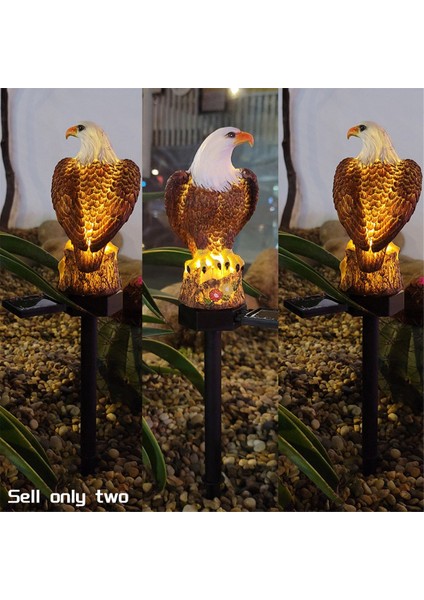 Solar Eagle Dış Mekan Bahçe Lambası, Çim Aydınlatması Için Yolla Çalışan Bahis Işıkları Spot Işığı 2 Paket (Yurt Dışından) modelleri