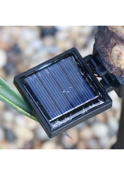 Solar Eagle Dış Mekan Bahçe Lambası, Çim Aydınlatması Için Yolla Çalışan Bahis Işıkları Spot Işığı 2 Paket (Yurt Dışından) indirimleri