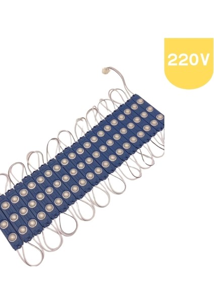 220 Volt 2 Watt 3 Lensli Mavi 2835 Smd LED Modül IP65 10 Adet Modül