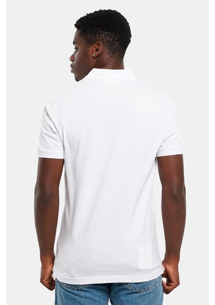 Monologo Polo