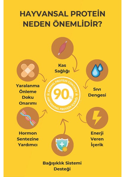 Tavuklu Yetişkin Kedi Maması 10KG - DELICATE