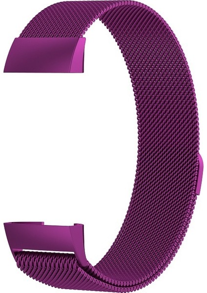 Fıt Şarjı Için Paslanmaz Ste Mıknatıs Kayışı 3,187X18MM (Yurt Dışından) modelleri
