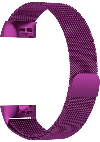Fıt Şarjı Için Paslanmaz Ste Mıknatıs Kayışı 3,187X18MM (Yurt Dışından) fırsatları