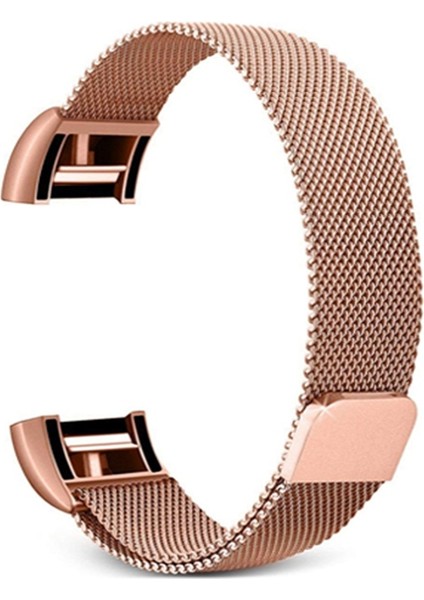 Fıt Charge 2 Için Paslanmaz Çelik Kordonlu Saat, Boyut: S (Yurt Dışından)