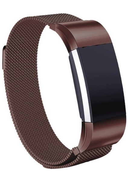 Fıt Charge 3 Için Paslanmaz Çelik Mıknatıs Kayış, 217X18MM (Yurt Dışından)