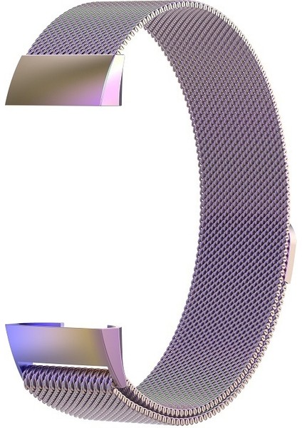 Fıt Charge 3 Için Paslanmaz Çelik Mıknatıs Kayış, 217X18MM (Yurt Dışından) modelleri