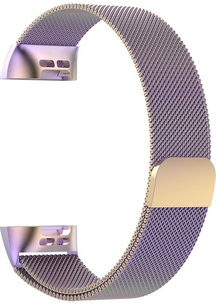 Fıt Charge 3 Için Paslanmaz Çelik Mıknatıs Kayış, 217X18MM (Yurt Dışından) fırsatları