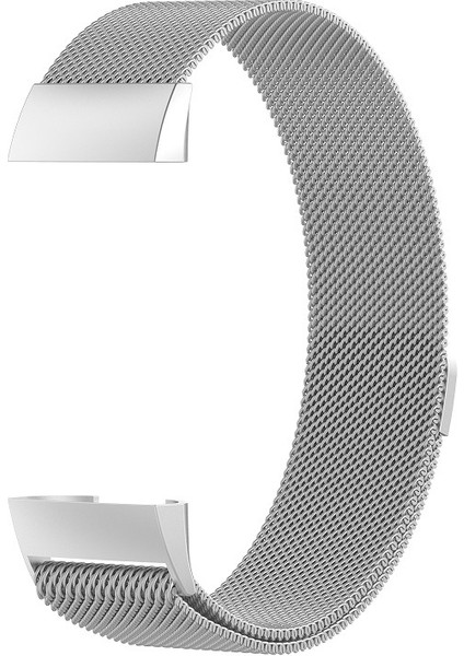Fıt Charge 3 Için Paslanmaz Çelik Mıknatıs Kayış, 217X18MM (Yurt Dışından)
