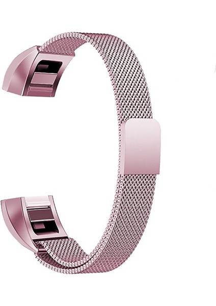 Fıt Alta Için Paslanmaz Ste Mıknatıs Kayışı, 170-236MM (Yurt Dışından)