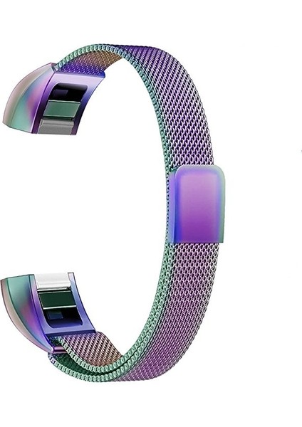 Fıt Alta Için Paslanmaz Ste Mıknatıs Kayışı, 170-236MM (Yurt Dışından)