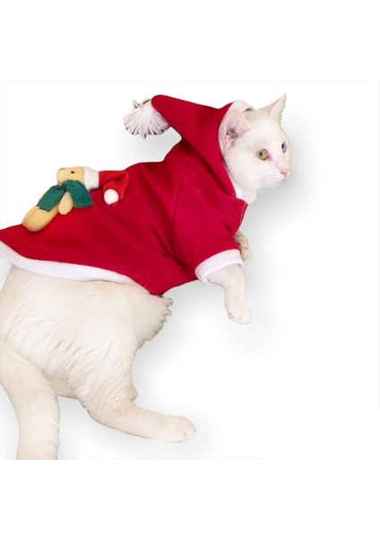 Teddy Noel Kapşonlu Kedi Sweatshirt Xxl fiyatları