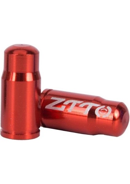 Huoxunshopc No.2 Tarzı 1 Çift Alüminyum Alaşımlı Araba Lastik Vana Kapağı Sekizgen Lastik Vana Gövde Kapağı Hava Toz Kapakları Lastik Vana Kamyon Bisiklet Tekerlek Jant Vana Gövde Kapakları (Yurt Dışından)