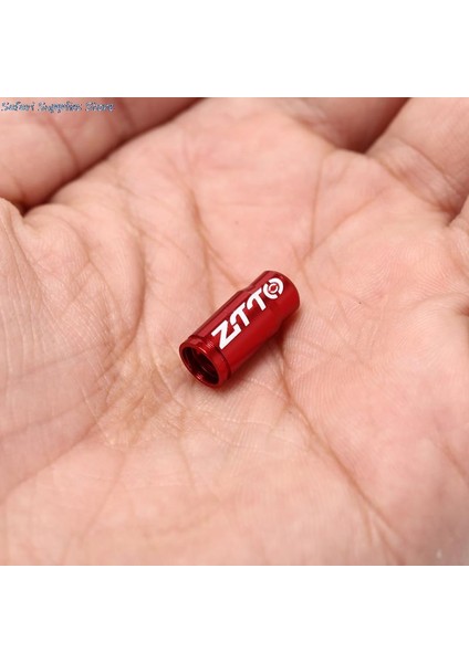 Yeşil Stil 1 Adet Yol Mtb Bisiklet Tekerlek Lastiği Kaplı Koruyucu Fransız Lastik Toz Geçirmez Bisiklet Bisiklet Presta Valf Kapağı Toz Örtüsü (Yurt Dışından) fırsatları