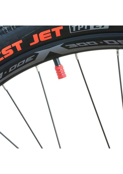 Kırmızı 2 Adet Tarzı 2 Adet Bisiklet Valf Kapak Dokulu Tip Alüminyum Alaşım Dağ Bisikleti Motosiklet Schrader Lastik Valf Kapak Toz Geçirmez Bisiklet Aksesuarları (Yurt Dışından) modelleri