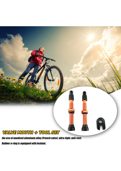 Mavi Stil Mtb Yol Dağ Bisikleti Tüp Lastik Lastik Için 1 Çift Alüminyum Alaşım Gövde Fransız Presta Valf + Aracı (Yurt Dışından) modelleri