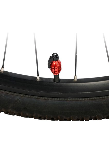Beyaz Stil 4 Adet Araba Lastik Tekerlek Vana Kapağı Alüminyum Alaşım Lastik Hava Gövdesi Toz Kapağı Araba Moto Bisiklet Stil Stems Otomatik Etiket (Yurt Dışından)