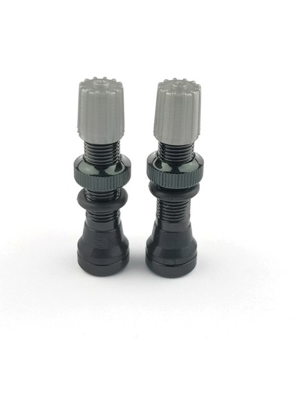 1 Adet Tarzı 1 Adet Tb Bisiklet Schrader Tubeless Valf Alüminyum Alaşım Dağ Bisikleti Valf Jant Tüpüsüz Lastik Valf Yedek Parçaları (Yurt Dışından) indirimleri