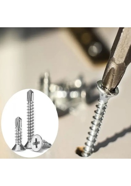 3.9 x 13 Din 7504P Yhb Matkap Uçlu Sac Vidası 70 Adet fiyatları