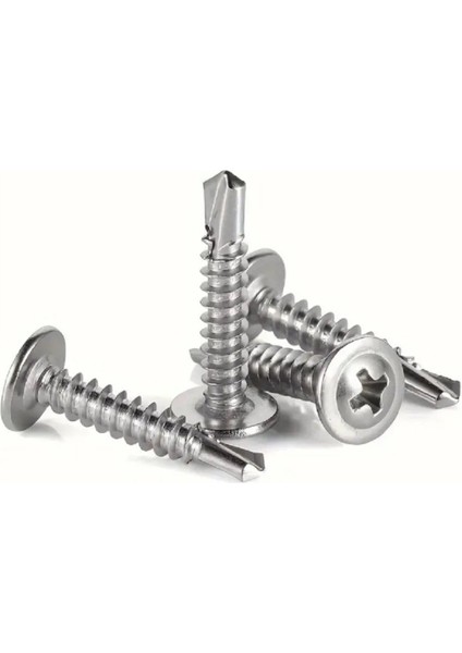 Pul Başlı (Rysb) Matkap Uçlu Sac Vidası 3.9 x 19 mm 100 Adet