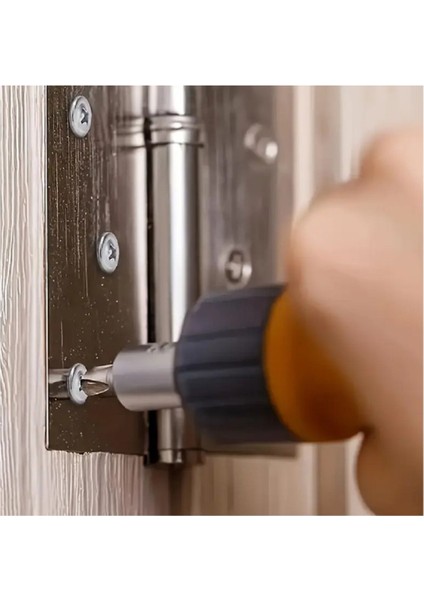 Pul Başlı (Rysb) Matkap Uçlu Sac Vidası 3.9 x 19 mm 100 Adet indirimleri