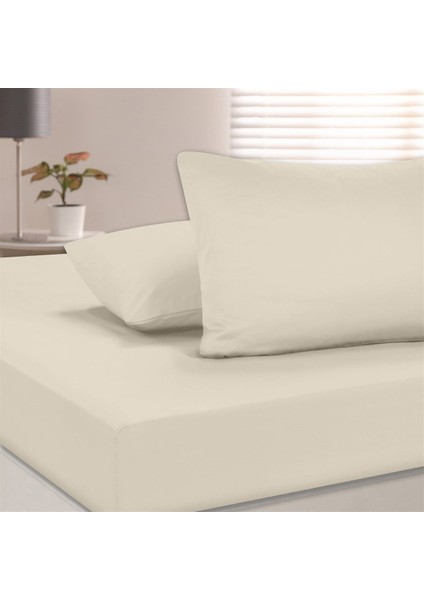Organik Pamuk Akfil Düz Çarşaf Seti Çift Kişilik 240X260 cm Krem fiyatları
