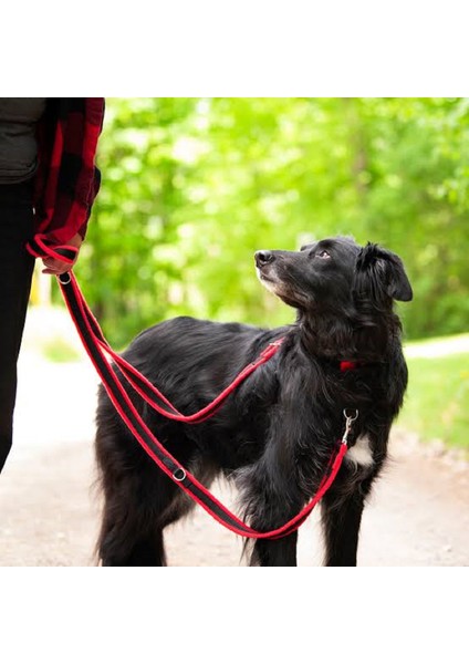 Çift Karabinalı Köpek Gezdirme Kayışı. (15 Kilo Ile 40 Kilo Arası)