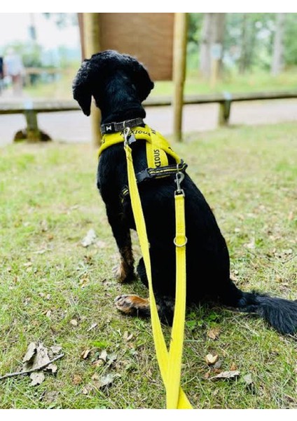 Çift Karabinalı Köpek Gezdirme Kayışı. (15 Kilo Ile 40 Kilo Arası)